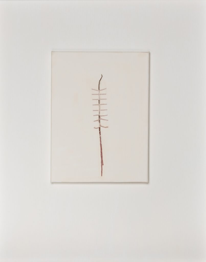 Fragile Traces II (red trace) 24x0,5x18cm surgical stitches on casein on canvas 2025