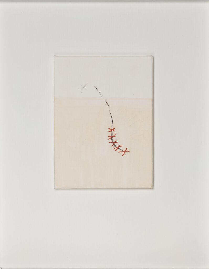 Fragile Traces VIII (vanished cross) 24x0,5x18cm surgical stitches on casein on canvas 2025