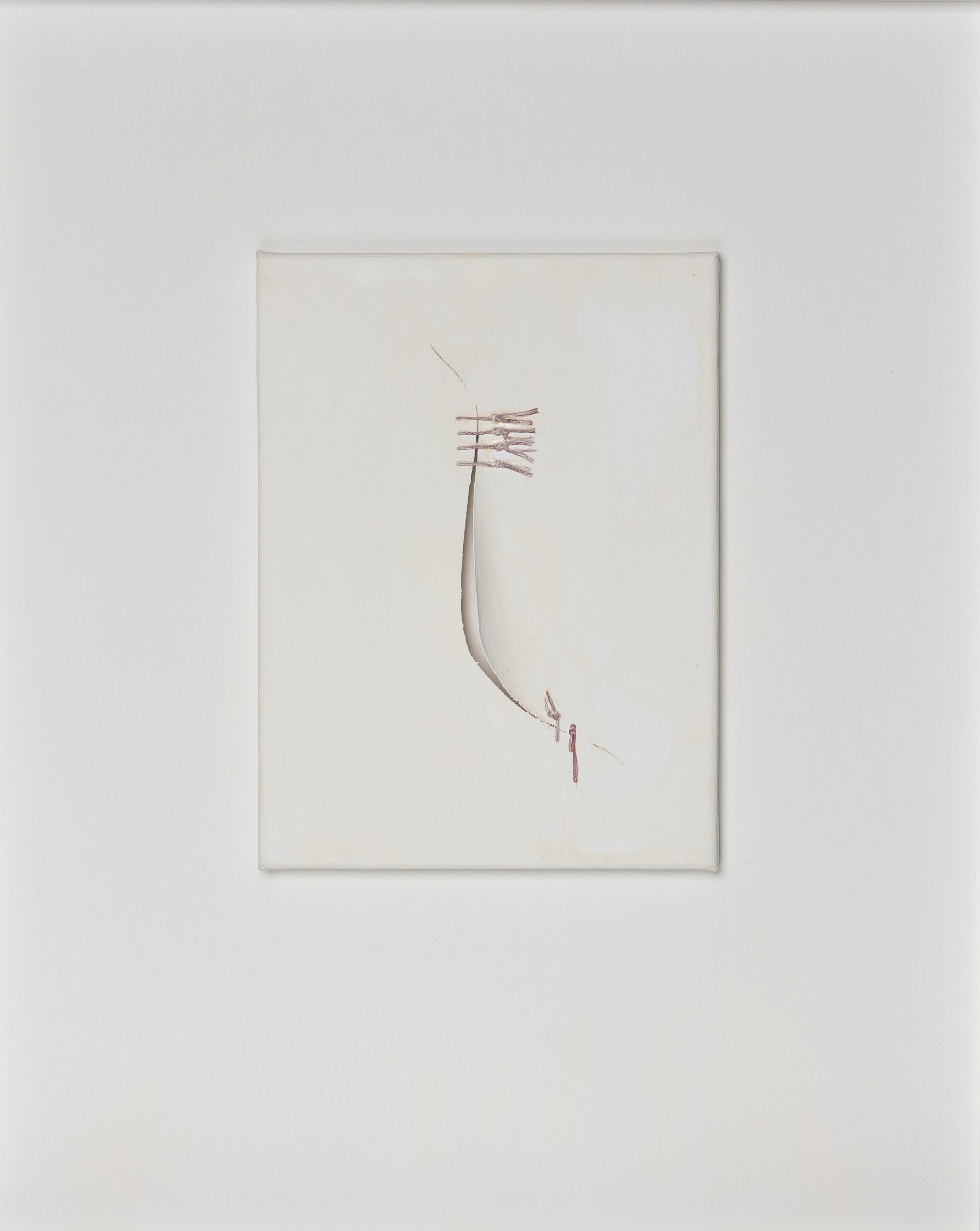 Fragile Traces IX 24x1,5x18cm surgical stitches on casein on canvas 2025