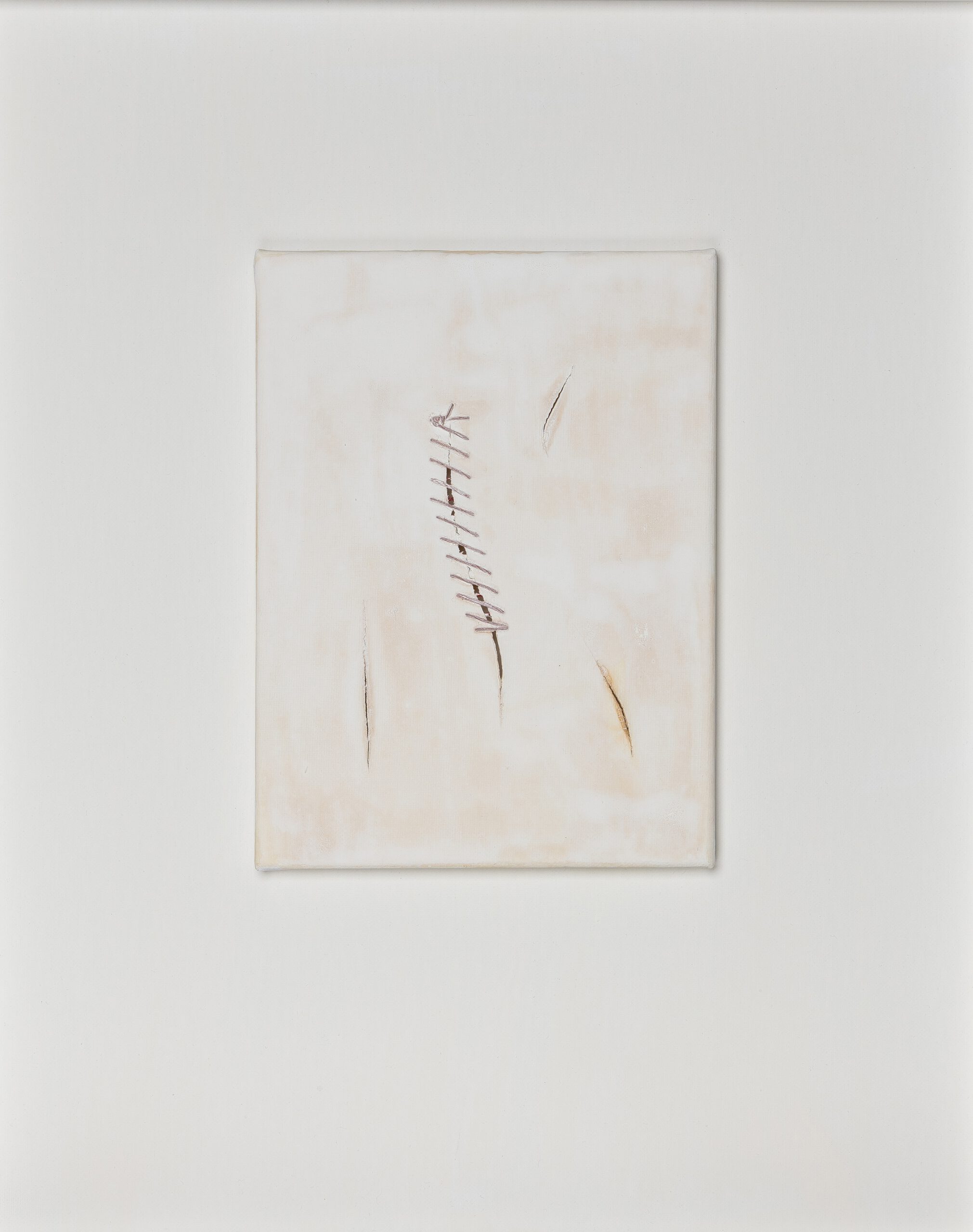 Fragile Traces IV (several cuts) 24x1x18cm surgical stitches on casein on canvas 2025