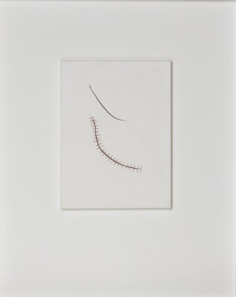 Fragile Traces I (unfinished healing) 24x0,5x18cm surgical stitches on casein on canvas 2025