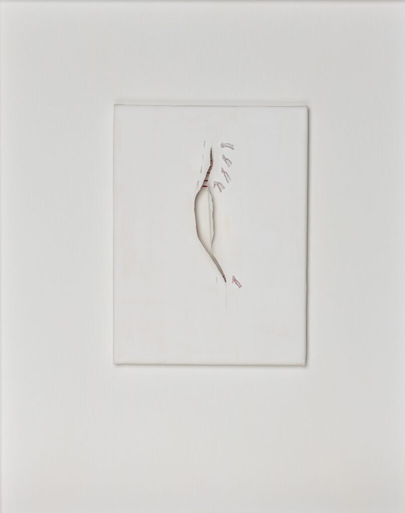 Fragile Traces VI (open wound) 24x2x18cm surgical stitches on casein on canvas 2025