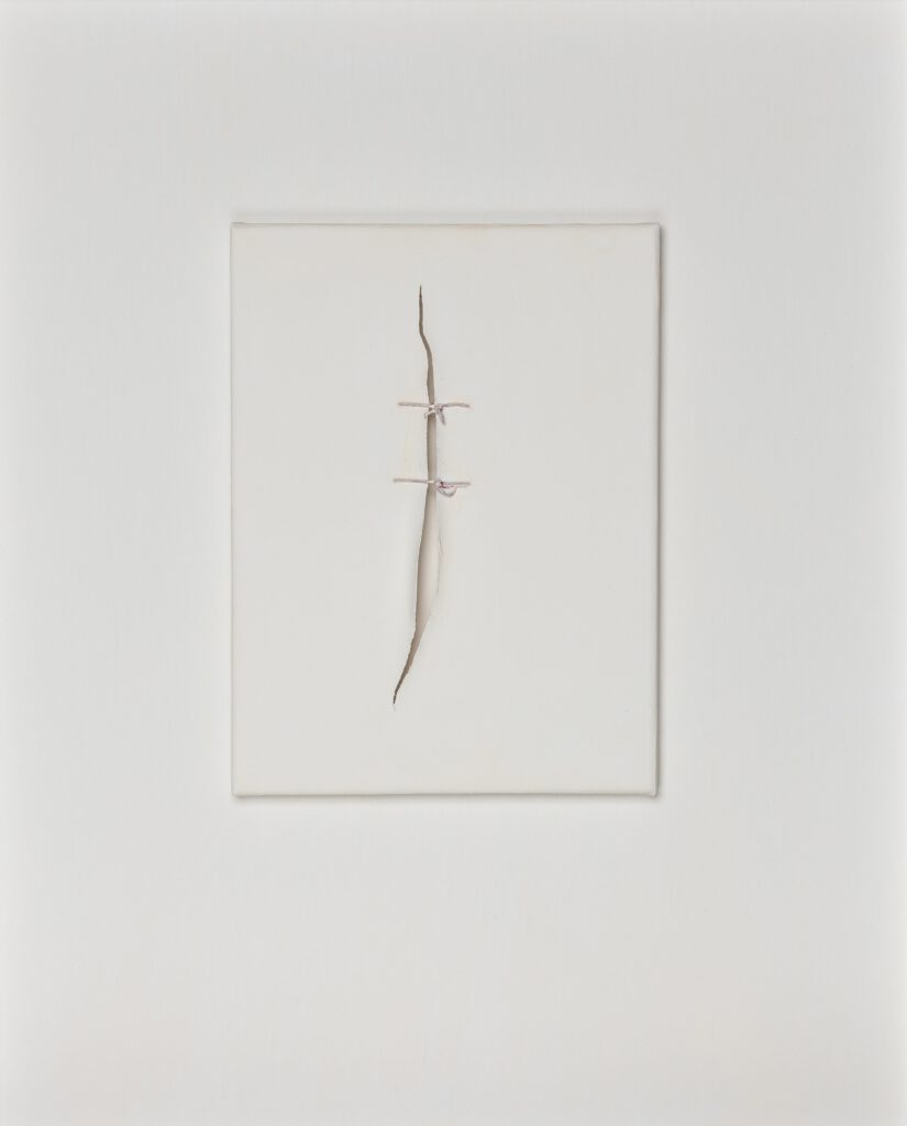 Fragile Traces III (The wound remains) 24x1,5x18cm surgical stitches on casein on canvas 2025
